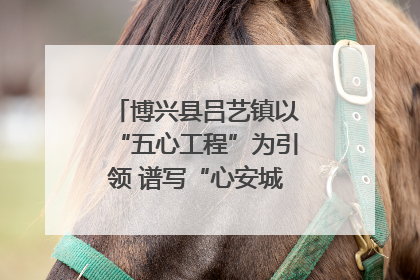 博兴县吕艺镇以“五心工程”为引领 谱写“心安城市”建设新篇章