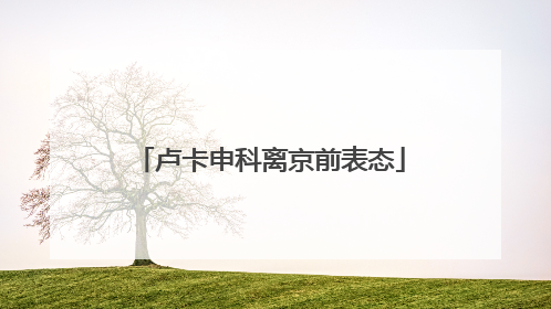 卢卡申科离京前表态