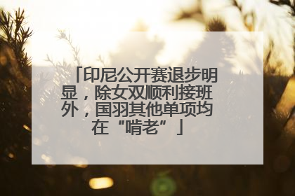 印尼公开赛退步明显，除女双顺利接班外，国羽其他单项均在“啃老”