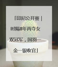 印尼公开赛｜时隔8年再夺女双冠军，国羽一金一银收官