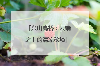 兴山高桥：云端之上的清凉秘境