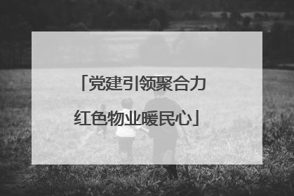 党建引领聚合力 红色物业暖民心
