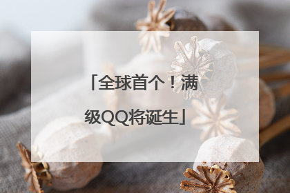 全球首个！满级QQ将诞生