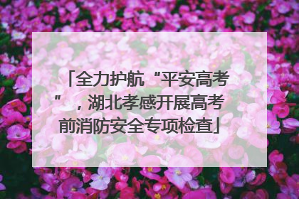 全力护航“平安高考”，湖北孝感开展高考前消防安全专项检查
