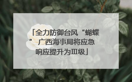 全力防御台风“蝴蝶” 广西海事局将应急响应提升为Ⅲ级