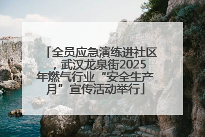 全员应急演练进社区，武汉龙泉街2025年燃气行业“安全生产月”宣传活动举行