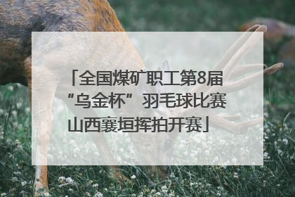全国煤矿职工第8届“乌金杯”羽毛球比赛山西襄垣挥拍开赛