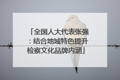 全国人大代表张强：结合地域特色提升检察文化品牌内涵