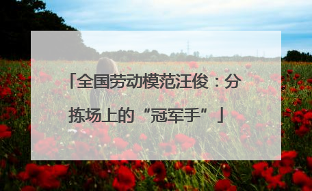 全国劳动模范汪俊：分拣场上的“冠军手”