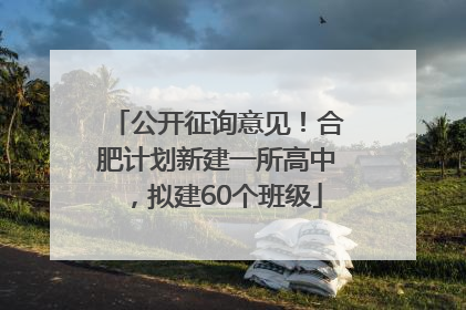 公开征询意见！合肥计划新建一所高中，拟建60个班级