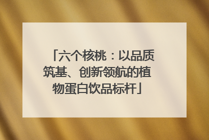 六个核桃：以品质筑基、创新领航的植物蛋白饮品标杆