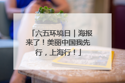 六五环境日｜海报来了！美丽中国我先行，上海行！