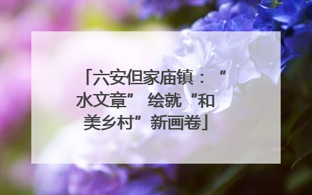 六安但家庙镇：“水文章” 绘就“和美乡村”新画卷