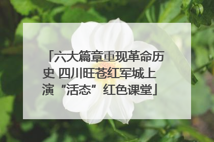 六大篇章重现革命历史 四川旺苍红军城上演“活态”红色课堂