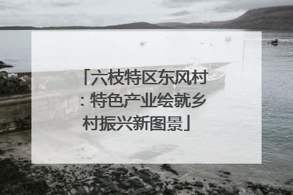 六枝特区东风村：特色产业绘就乡村振兴新图景