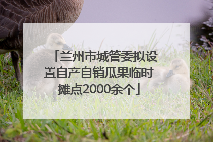 兰州市城管委拟设置自产自销瓜果临时摊点2000余个