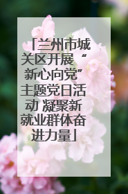 兰州市城关区开展“新心向党”主题党日活动 凝聚新就业群体奋进力量