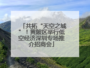 共拓“天空之城”！黄陂区举行低空经济深圳专场推介招商会