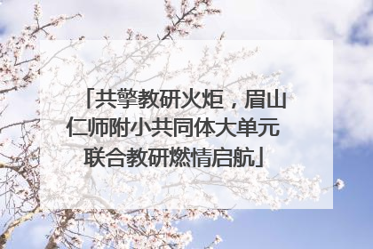 共擎教研火炬，眉山仁师附小共同体大单元联合教研燃情启航