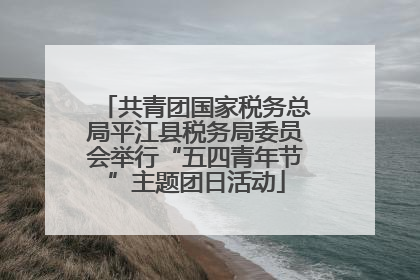 共青团国家税务总局平江县税务局委员会举行“五四青年节”主题团日活动