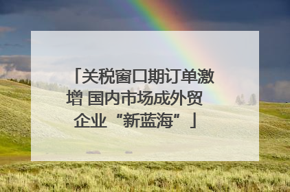 关税窗口期订单激增 国内市场成外贸企业“新蓝海”