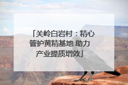 关岭白岩村：精心管护黄精基地 助力产业提质增效