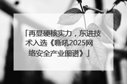 再显硬核实力，东进技术入选《嘶吼2025网络安全产业图谱》
