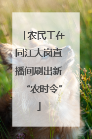 农民工在同江大岗直播间刷出新“农时令”