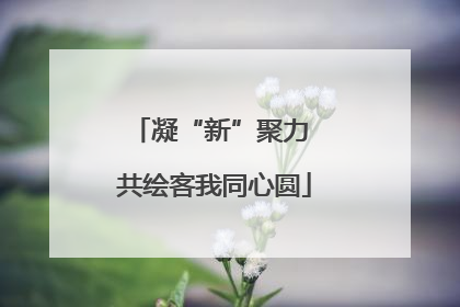 凝“新”聚力 共绘客我同心圆