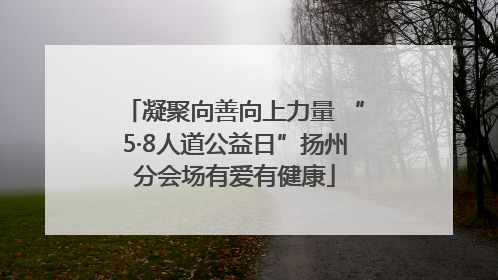 凝聚向善向上力量 “5·8人道公益日”扬州分会场有爱有健康