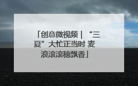 创意微视频｜“三夏”大忙正当时 麦浪滚滚穗飘香