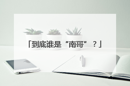 到底谁是“南哥”？