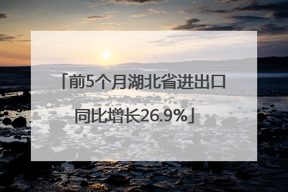 前5个月湖北省进出口同比增长26.9%