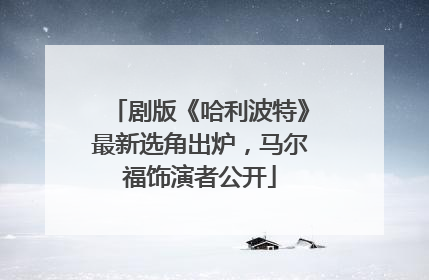剧版《哈利波特》最新选角出炉，马尔福饰演者公开
