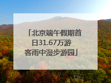 北京端午假期首日31.67万游客雨中漫步游园