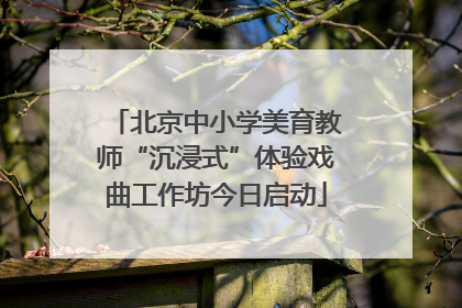 北京中小学美育教师“沉浸式”体验戏曲工作坊今日启动