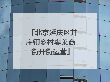 北京延庆区井庄镇乡村奥莱商街开街运营