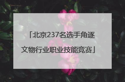 北京237名选手角逐文物行业职业技能竞赛