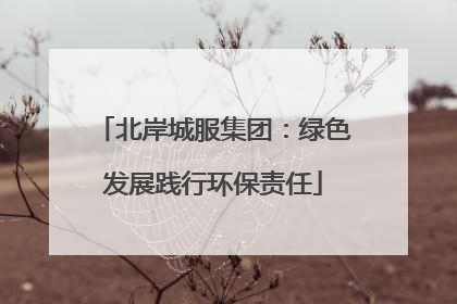 北岸城服集团：绿色发展践行环保责任
