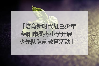 培育新时代红色少年 绵阳市桑枣小学开展少先队队前教育活动