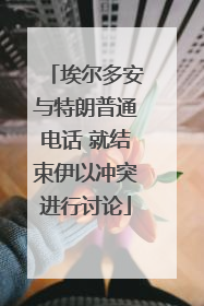 埃尔多安与特朗普通电话 就结束伊以冲突进行讨论