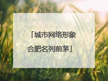 城市网络形象合肥名列前茅