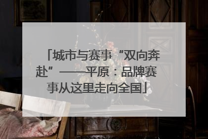 城市与赛事“双向奔赴”——平原：品牌赛事从这里走向全国