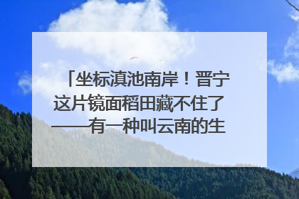 坐标滇池南岸！晋宁这片镜面稻田藏不住了——有一种叫云南的生活之365天