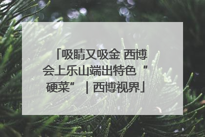 吸睛又吸金 西博会上乐山端出特色“硬菜”｜西博视界