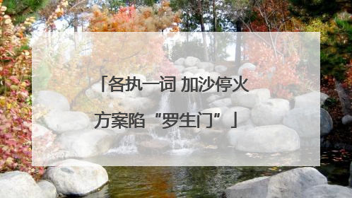 各执一词 加沙停火方案陷“罗生门”