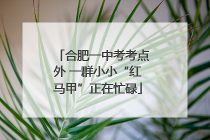 合肥一中考考点外 一群小小“红马甲”正在忙碌
