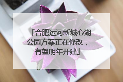 合肥运河新城心湖公园方案正在修改，有望明年开建