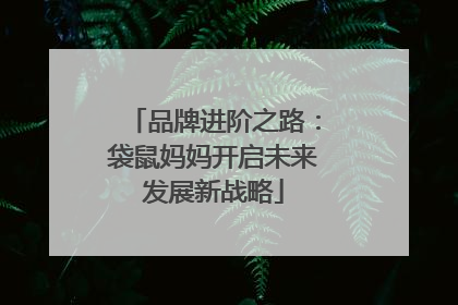 品牌进阶之路：袋鼠妈妈开启未来发展新战略