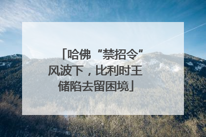 哈佛“禁招令”风波下，比利时王储陷去留困境